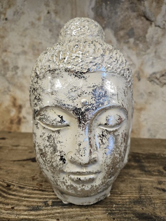 Boeddha Beeld Hoofd van Steen