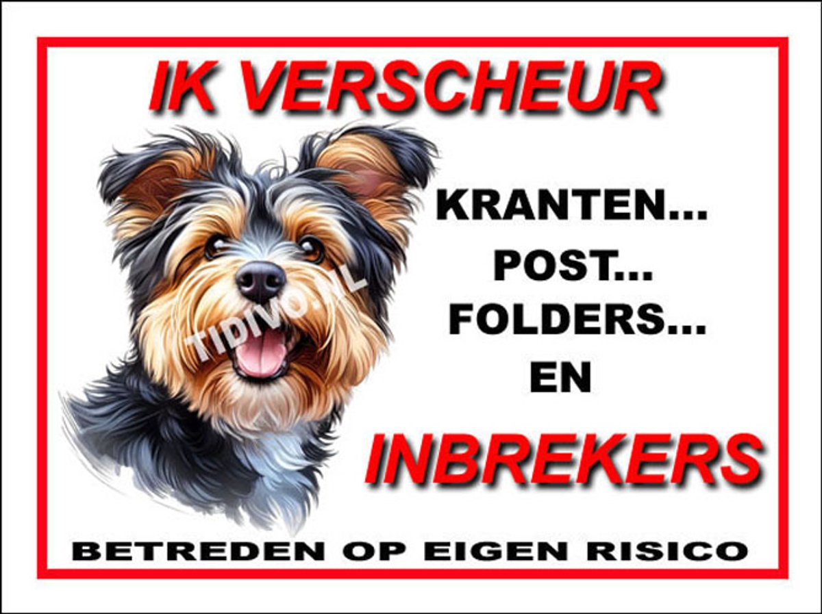 Australian Terrier 8