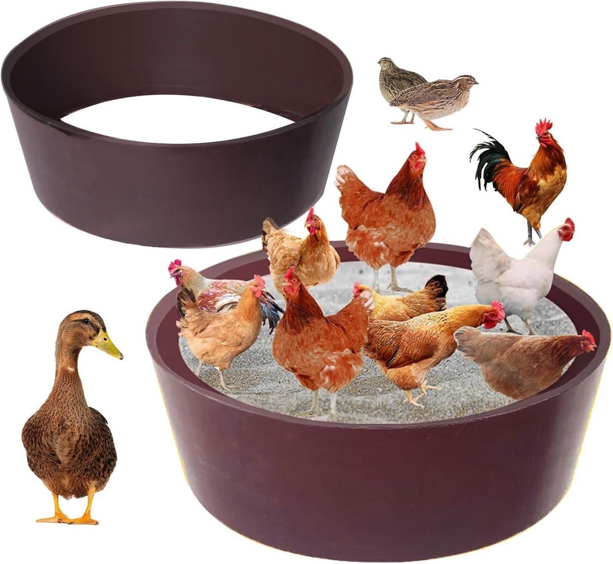 JGS Premium - Voor Chicken Dust Bath Sand: Duurzame PE-constructie voor kippenbad - Bodemloos - Kippenhok Reiniging - Essentiële Kippenaccessoire
