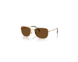 Ray Ban - Arista - Polar Brown