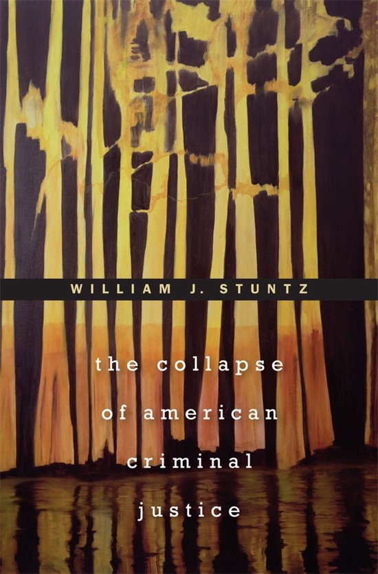 The Collapse of American Criminal Justice - cover