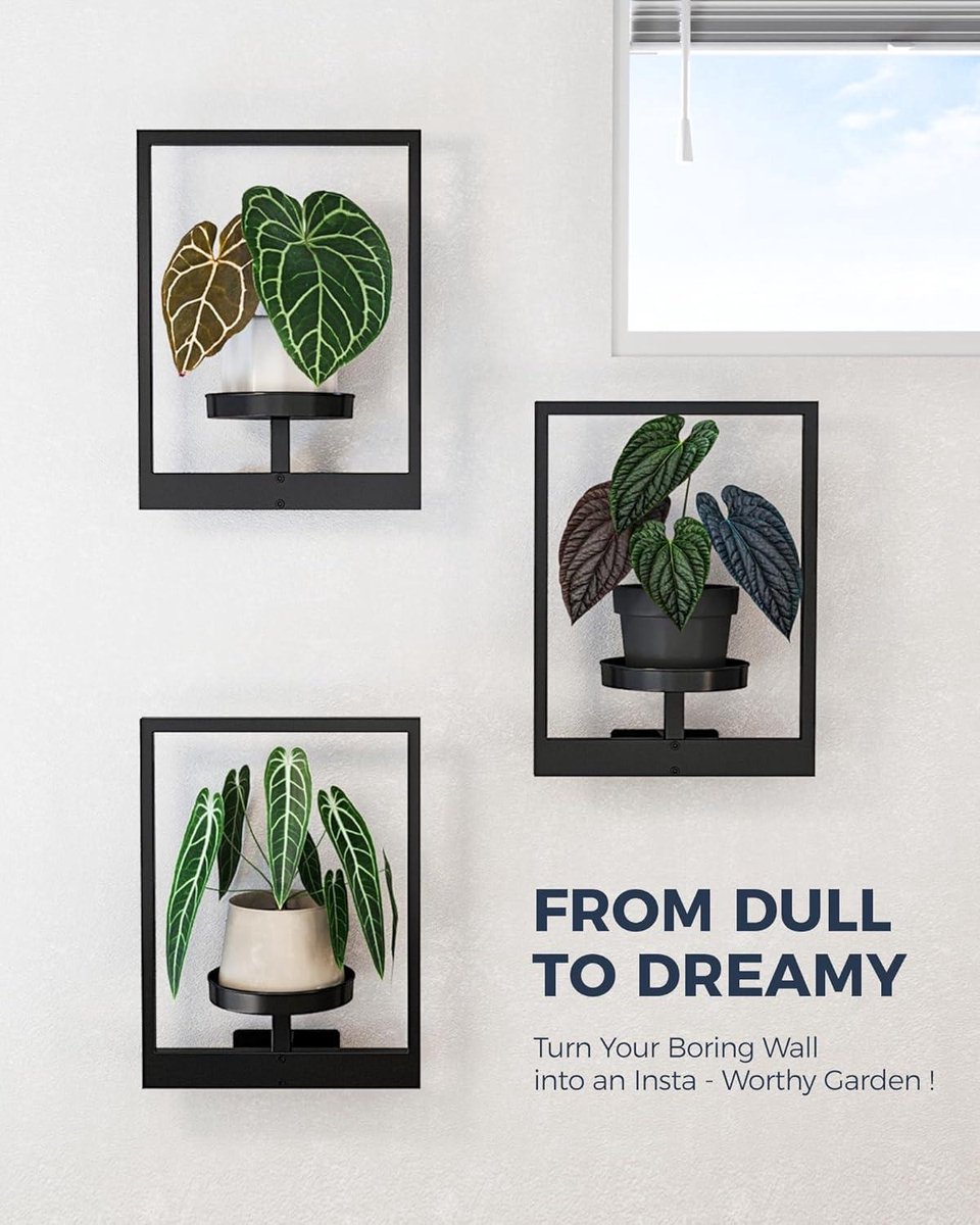 Moderne Plantenhouder van IJzer - Minimalistisch Wand- & Plafondmodel