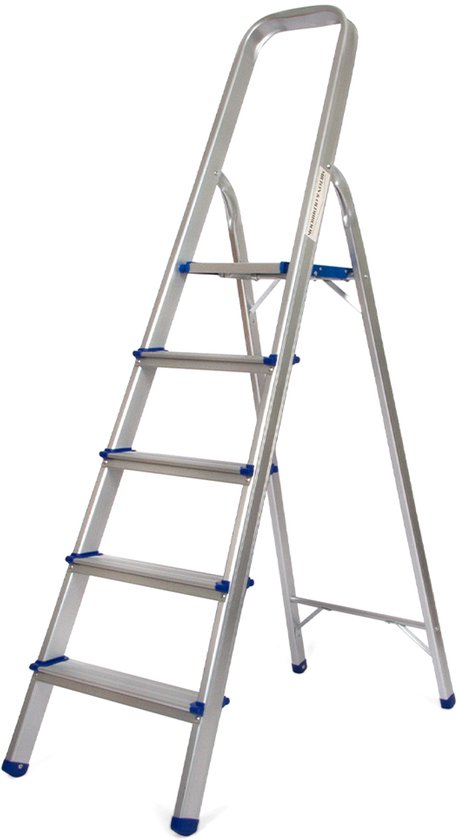 Zilverkleurige aluminium huishoudtrap met 5 treden, een gebogen handgreep en blauwe details.