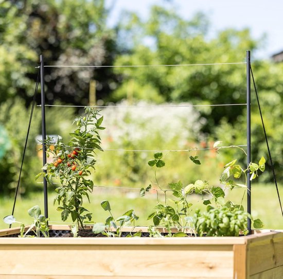 Klimhulp van roestvrij staal voor klimplanten, rankrooster