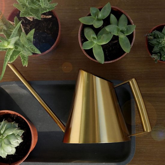 Danolt Mini Gieter – 400 Ml – Roestvrij Staal – Met Lange Tuit – Wit – Voor Kamerplanten, Bonsai En Kleine Bloemen – Ook Als Decoratie