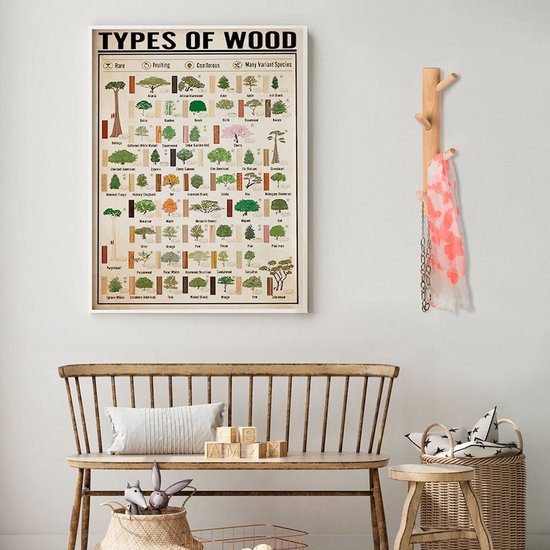Poster 'Types of Wood' met illustraties van diverse boomsoorten en houtsoorten.