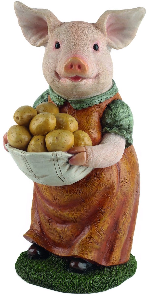Varken verzamelt aardappelen