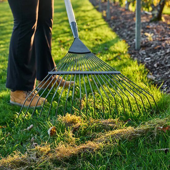 Burgon & Ball - BoronGreen Bladhark - 80% gerecycled staal - 166 cm van Burgon & Ball — afbeelding 3