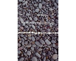 Numinous Seditions