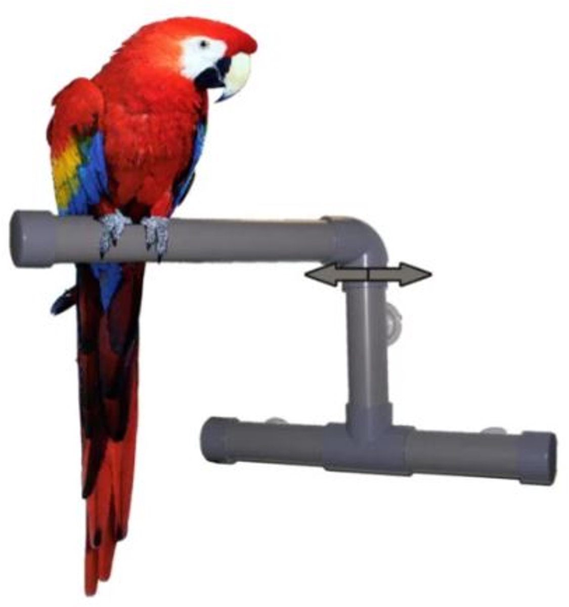 Zoo-Max Douchestok - papegaai - Ara - Kaketoe -PVC