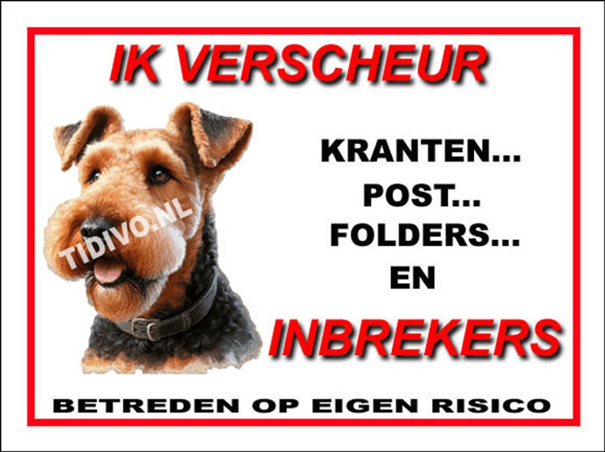 Airedale Terrier 8