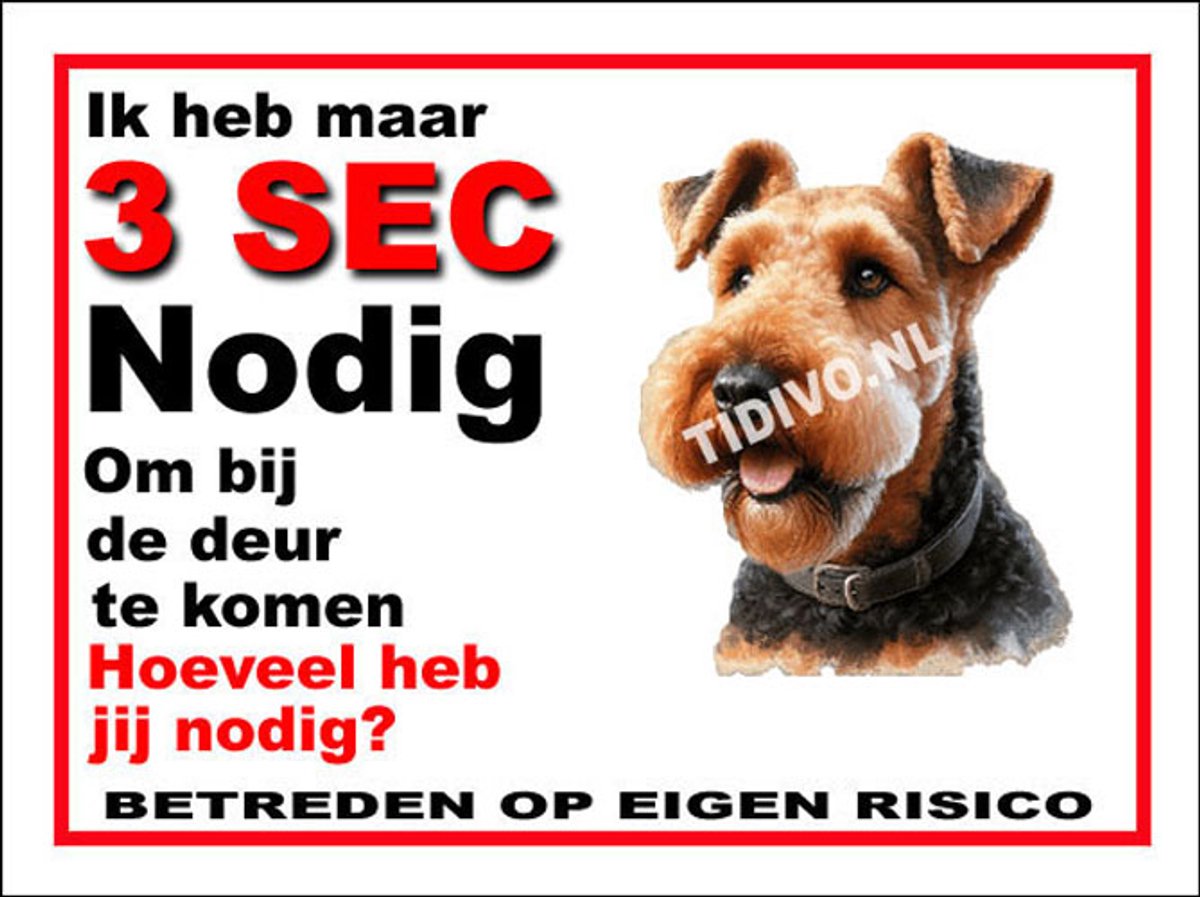 Airedale Terrier 6