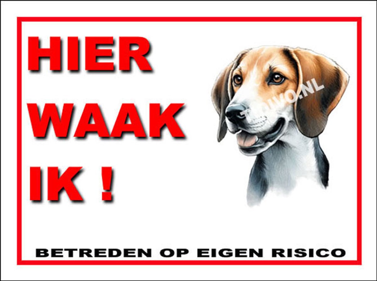 Fox Terrier 3