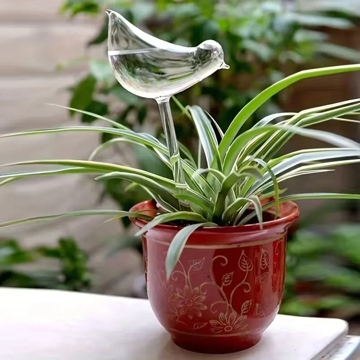 Lot De 3 Globes D'Arrosage Automatique ZwaitL - Pour Plantes D'Intérieur/Extérieur - Arrosage Autonome