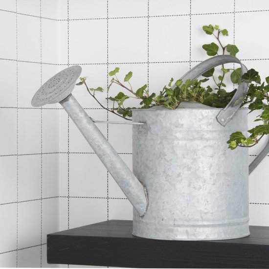 Zinken gieter met groen gebladerte op een zwart dressoir met witte rasterachtergrond.