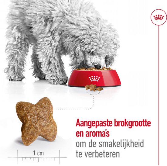 Een witte poedel eet uit een rode voerbak, met een close-up van een ster-vormige brok.