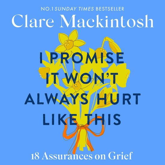 I Promise It Won't Always Hurt Like This - cover