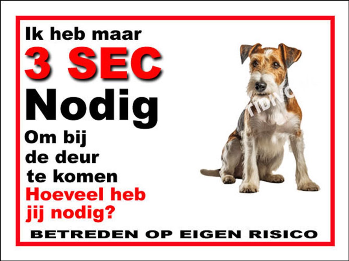 Fox Terriër Draadhaar 6
