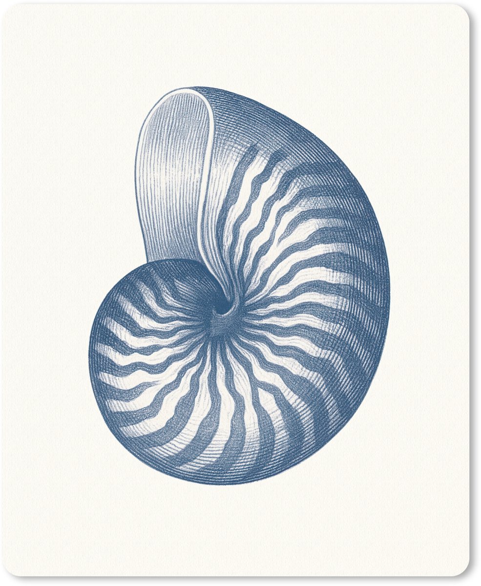 Muismat 19x23 cm - Mousepad Blauw - Schelp - Spiraal - Muismatten