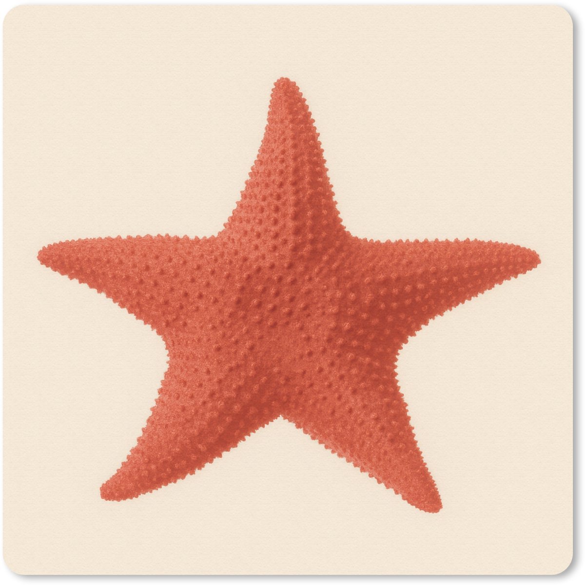Muismat 30x30 cm - Mousepad Zeester - Bobbels - Rood - Muismatten