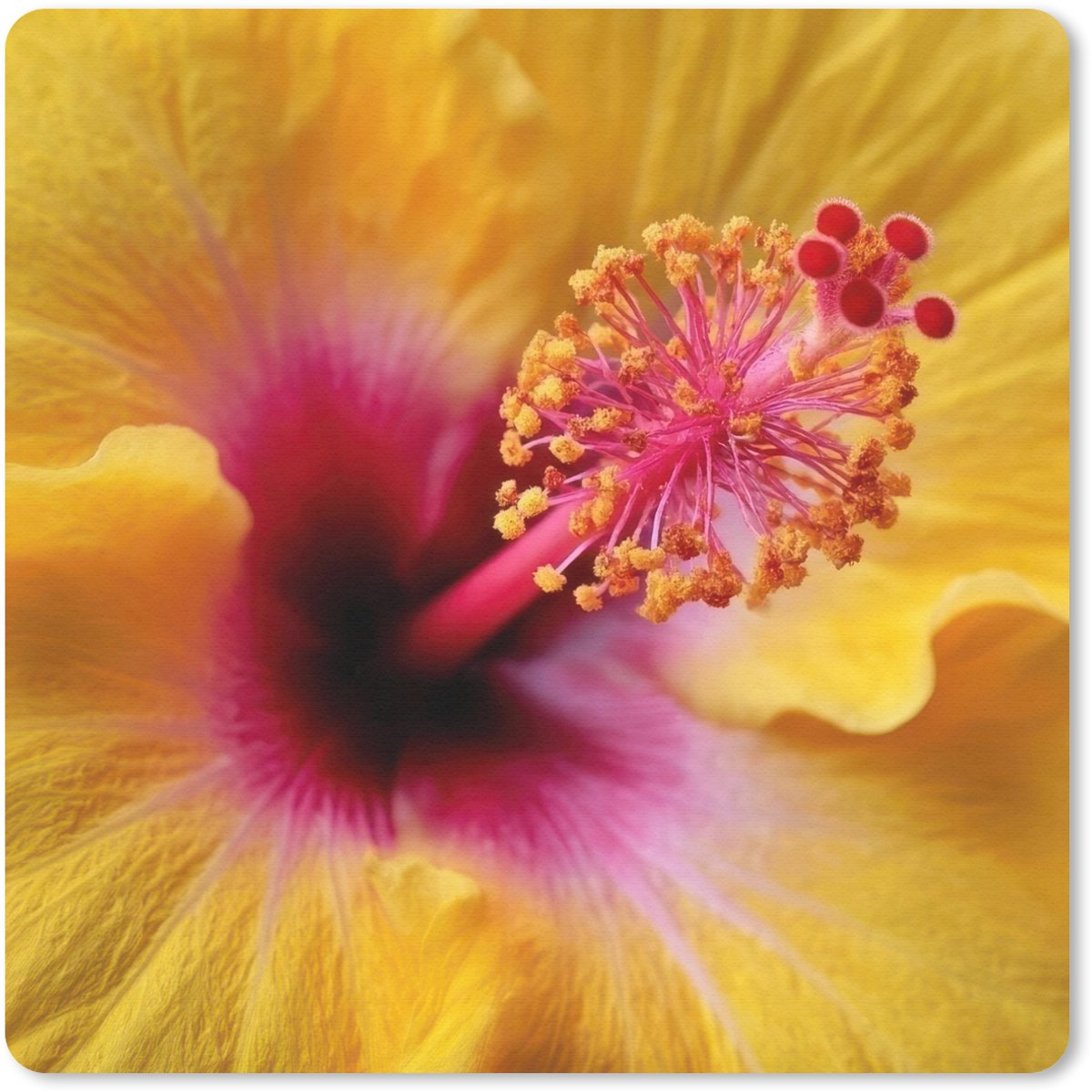 Muismat 30x30 cm - Mousepad Geel - Hibiscus - Tropisch - Muismatten