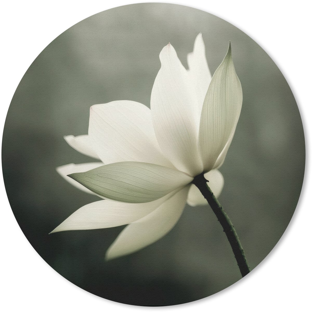Muismat rond 40x40 cm - Mousepad Wit - Lotus - Donker - Bloem - Ronde muismatten
