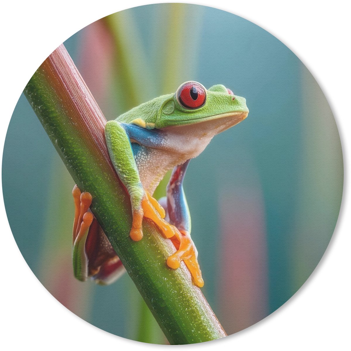 Muismat rond 40x40 cm - Mousepad Kleurrijke kikker - Groene stengel - Alert - Ronde muismatten