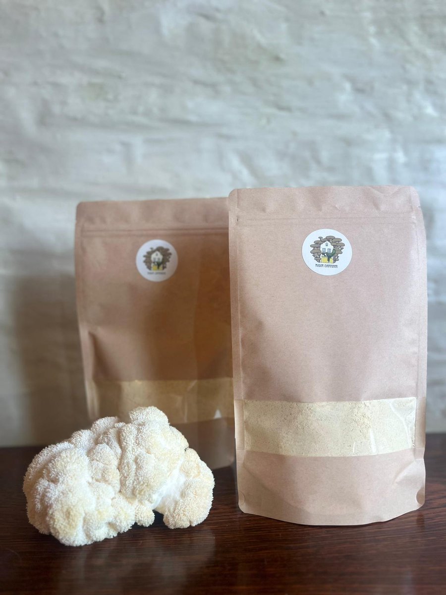 Lion’s Mane Poeder 100g – 100% Natuurlijk Biologisch Paddenstoelen poeder– Focus, Geheugen & Energie – Pruikzwam - Hericium erinaceus