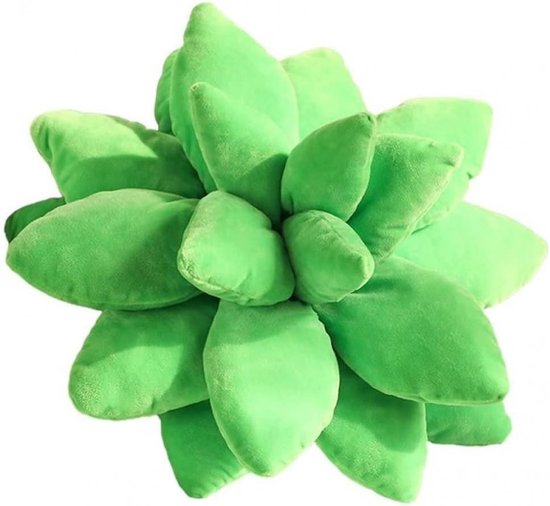 Kussen 3D Pluche Kussen Decoratief Sierkussen Plant Sierkussen voor Thuis Kamerdecoratie