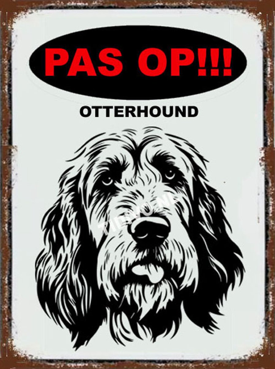 Otterhound 17