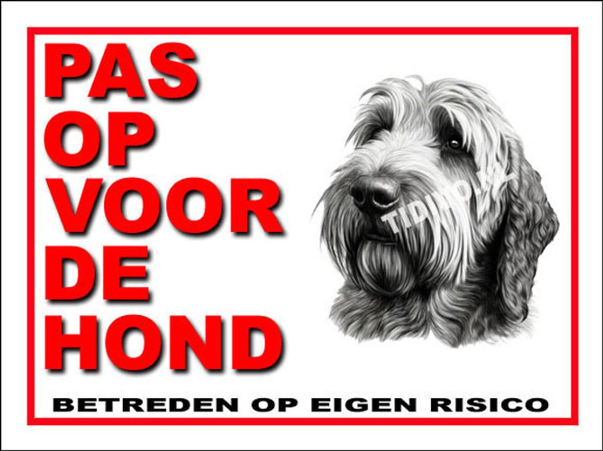 Otterhound 13
