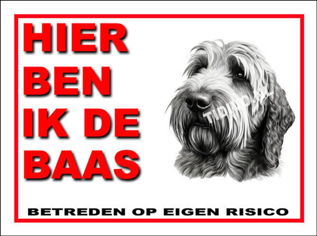 Otterhound 2