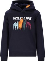 Sweat Garçon JACK & JONES JCOMOUNTAIN LOGO SWEAT HOOD SN MNI Pull Garçons Sweat Jack And Jones Enfant