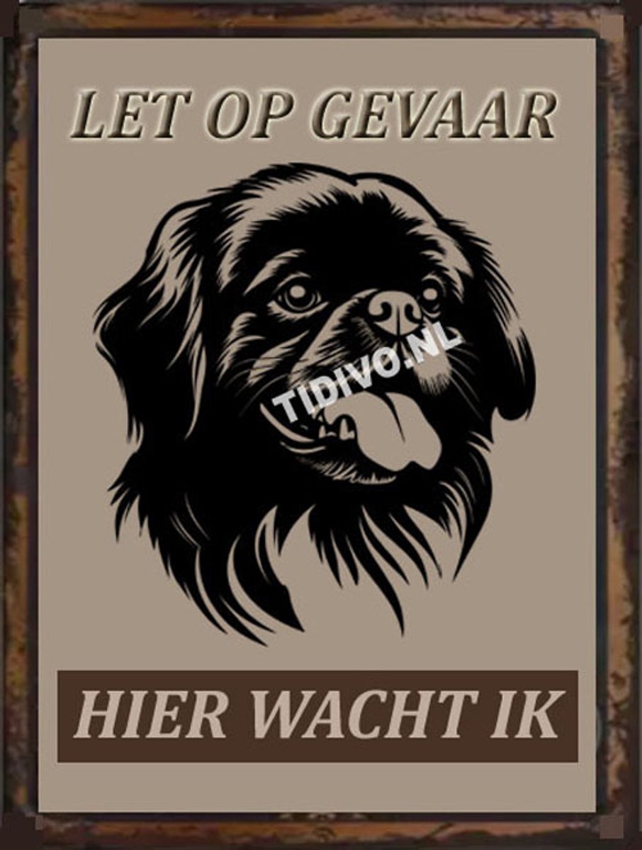 Pekingees 18