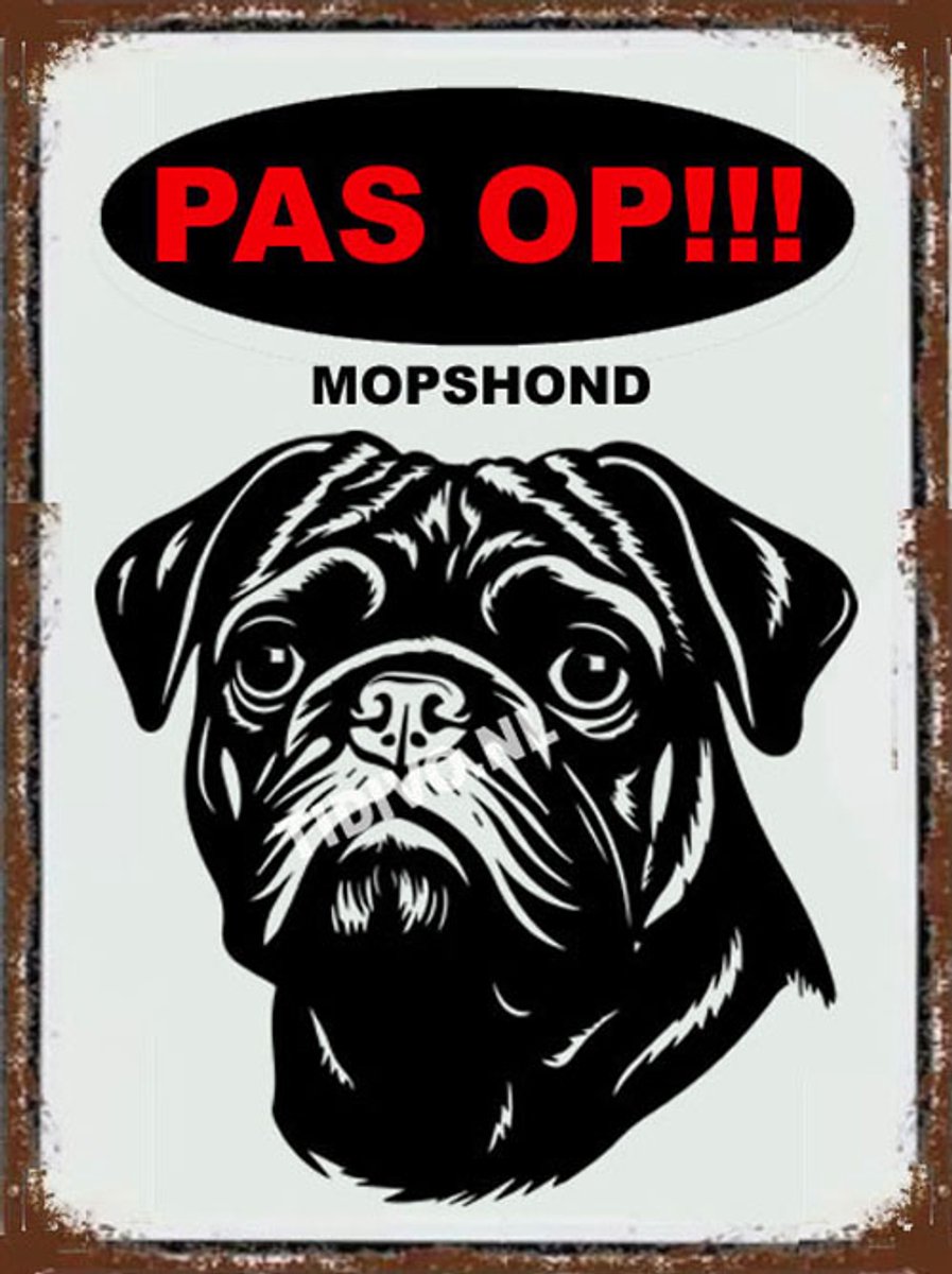 Mopshond 17