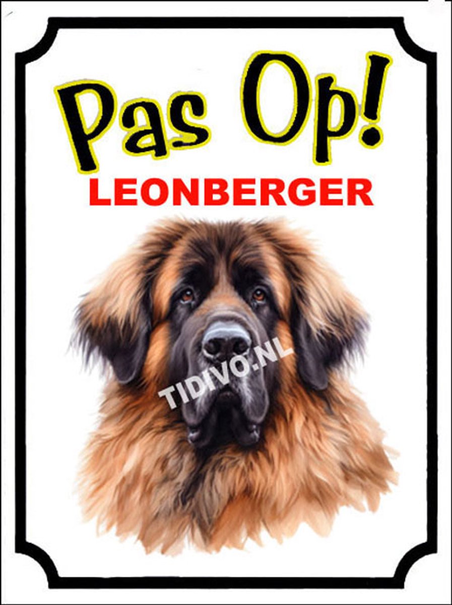 Leonberger 16