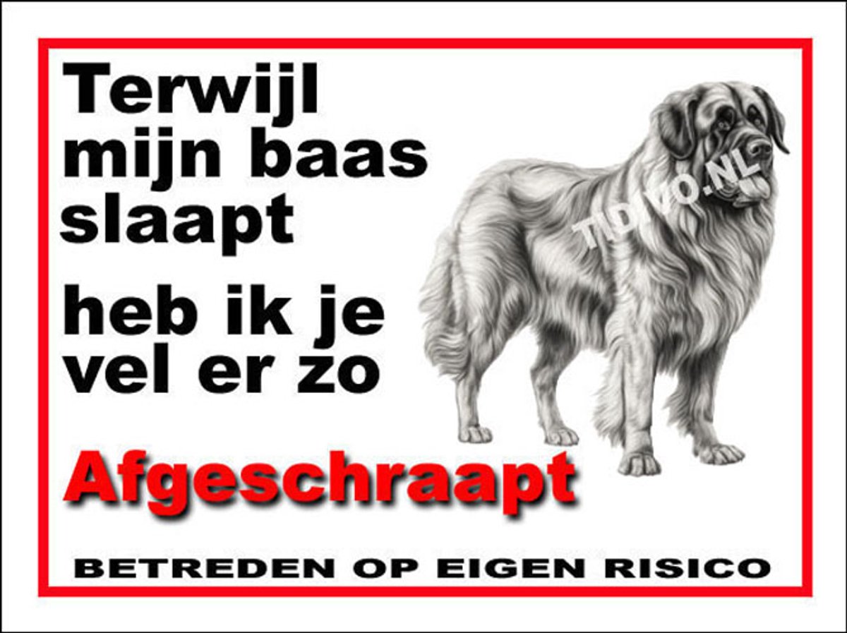 Leonberger 15