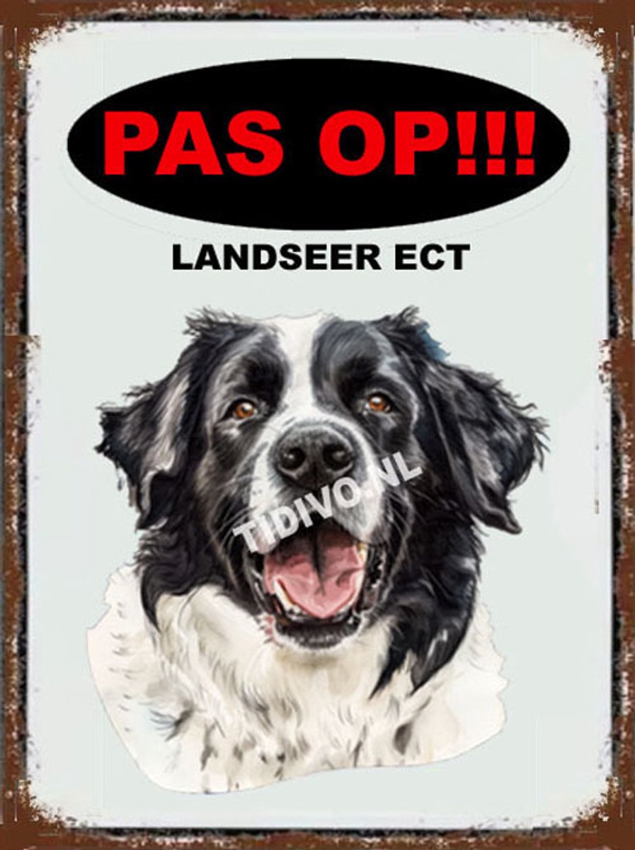 Landseer ECT 17