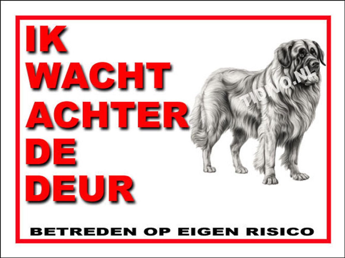 Leonberger 10