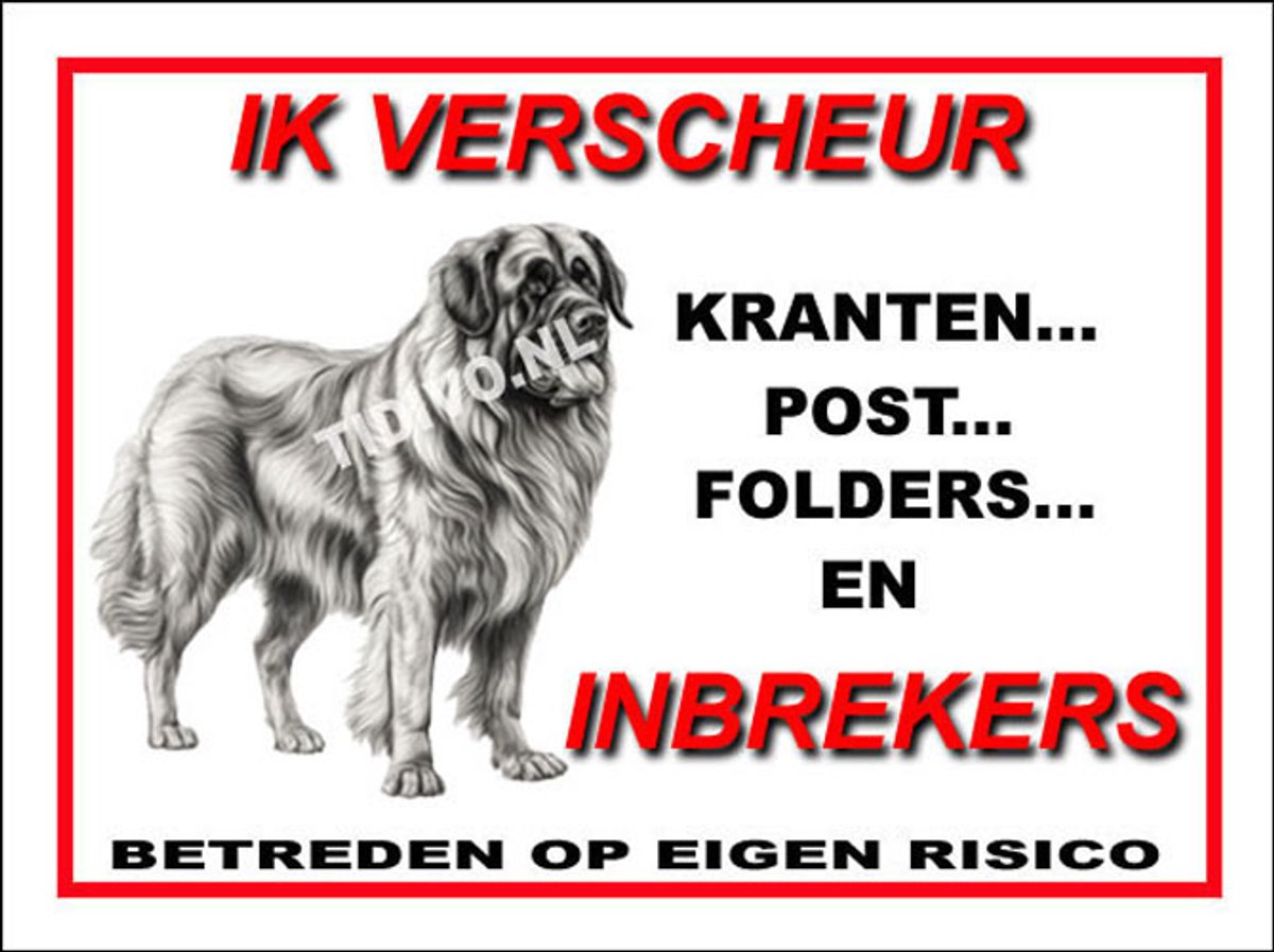 Leonberger 8