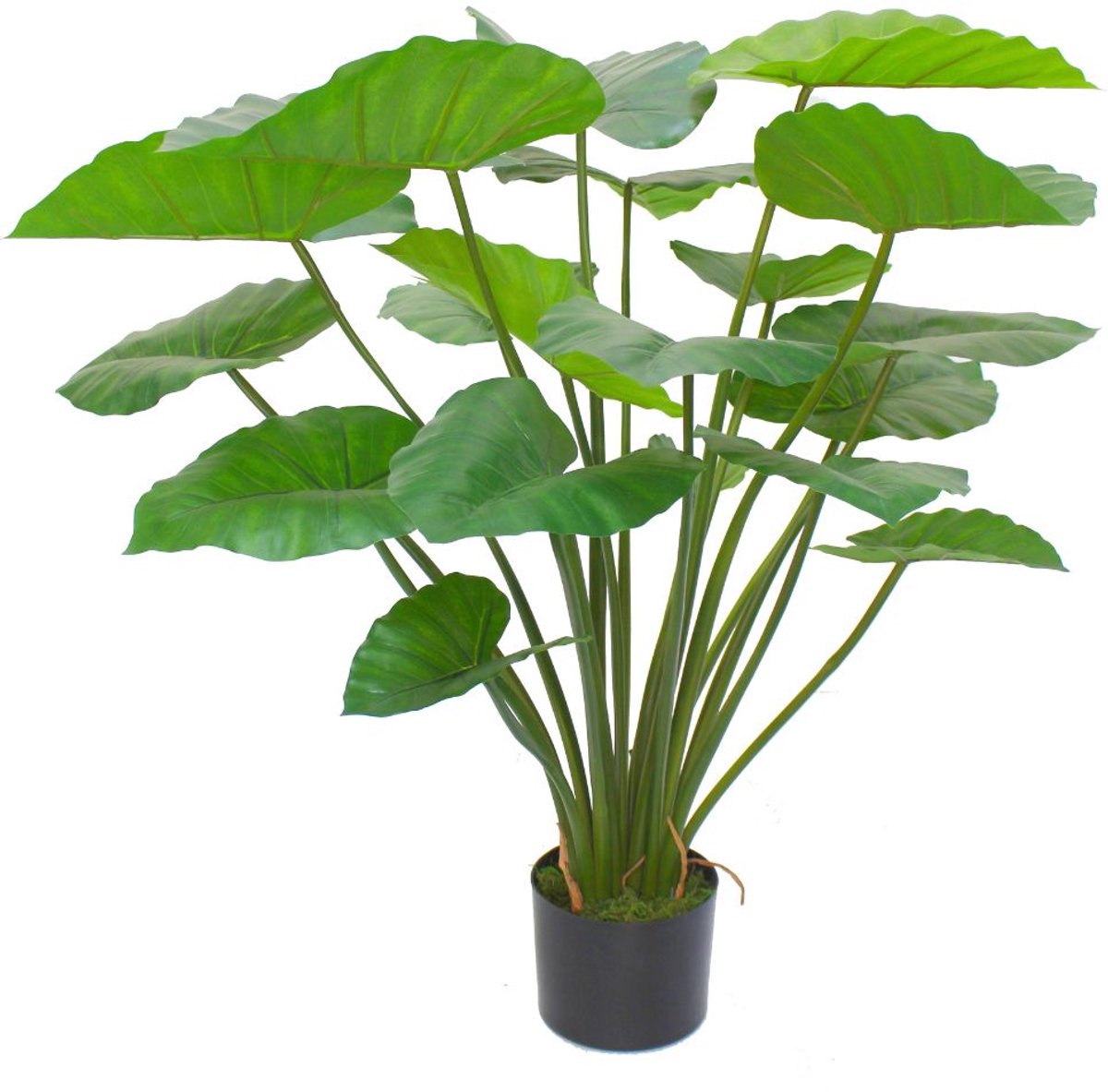 Alocasia Kunstplant 100cm | Hoogwaardige Kunstplant | Nep Alocasia | Kunstplant voor Binnen | Groene Kunstplant | Alocasia Nepplant