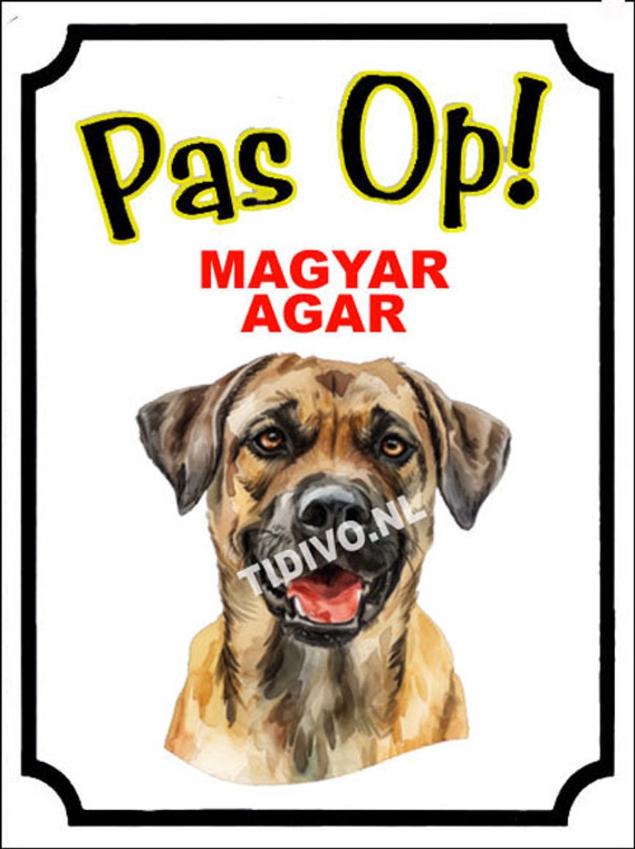 Magyar Agár 16