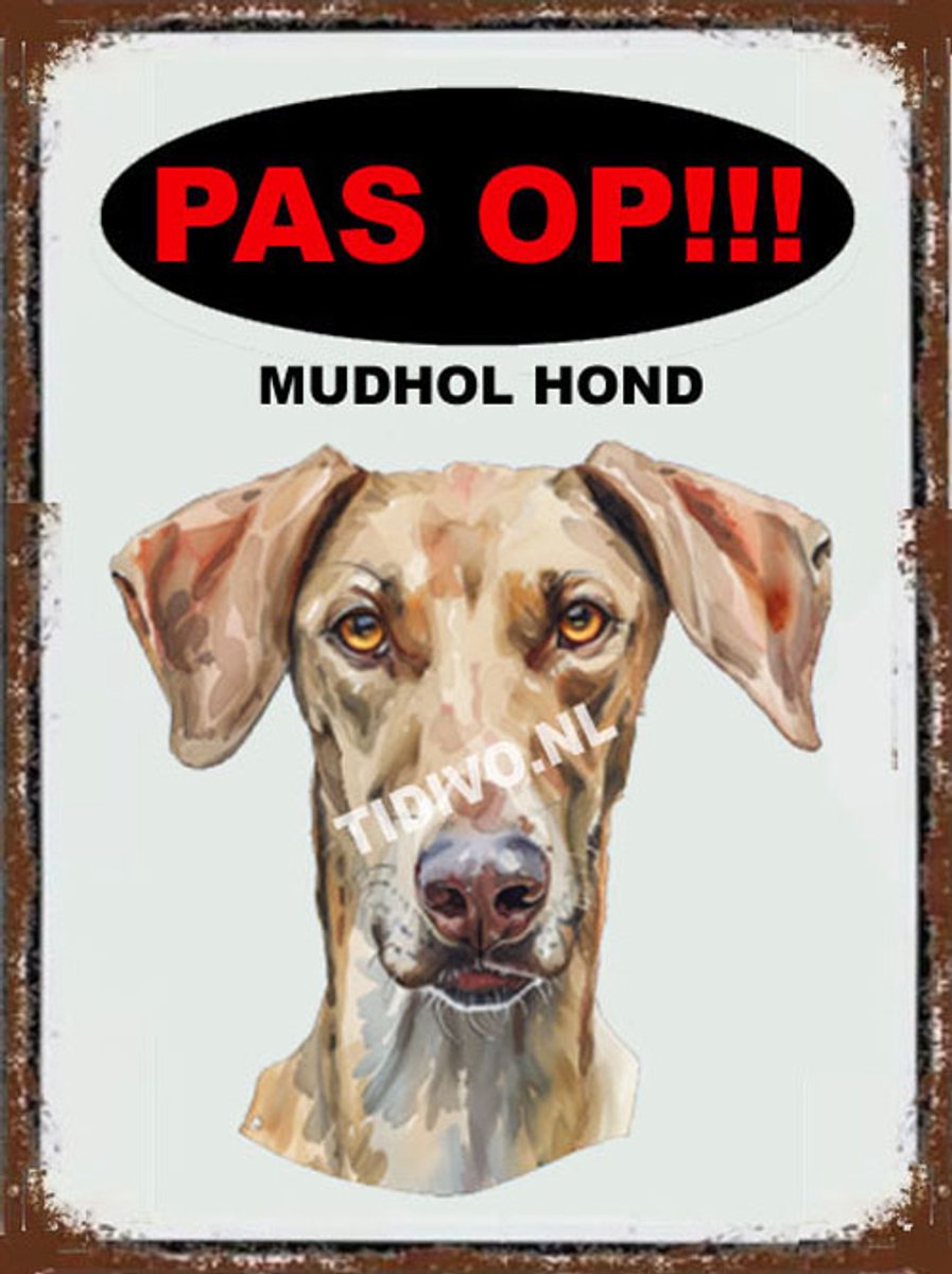 Mudhol Hond 17