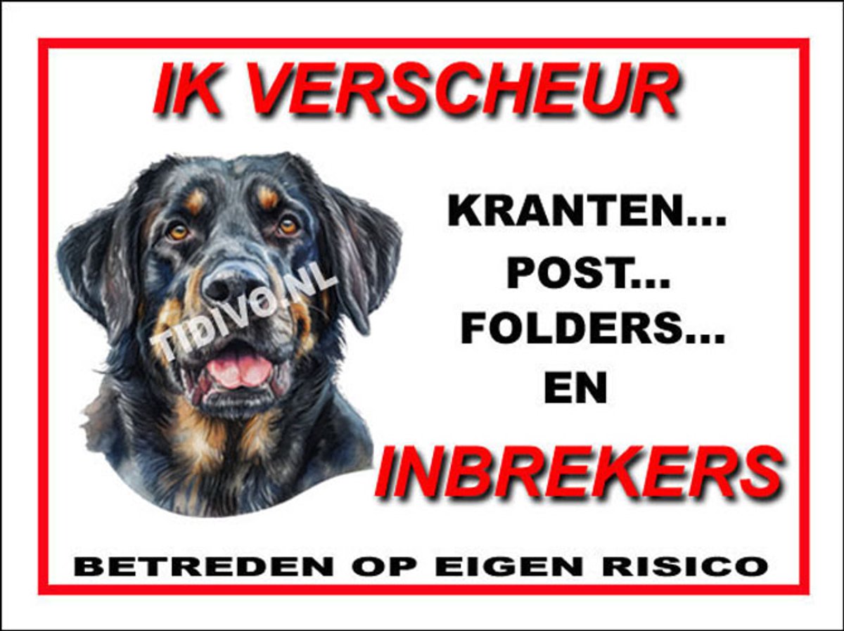 Münsterländer 8