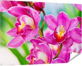 Gards Tuinposter Licht Paarse Orchidee Bloemen - 150x100 cm - Tuindoek - Tuindecoratie - Wanddecoratie buiten - Tuinschilderij