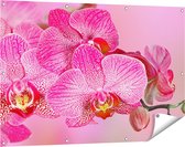 Gards Tuinposter Roze Orchidee Bloemen - 120x80 cm - Tuindoek - Tuindecoratie - Wanddecoratie buiten - Tuinschilderij