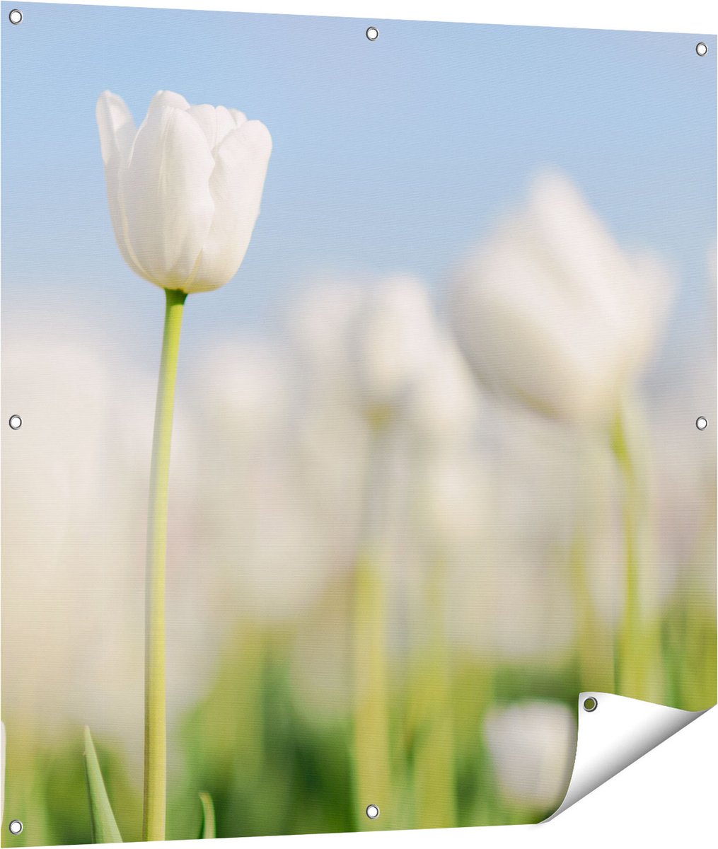 Gards Tuinposter Witte Tulpen - Bloemen - 100x100 cm - Tuindoek - Tuindecoratie - Wanddecoratie buiten - Tuinschilderij Multikleur