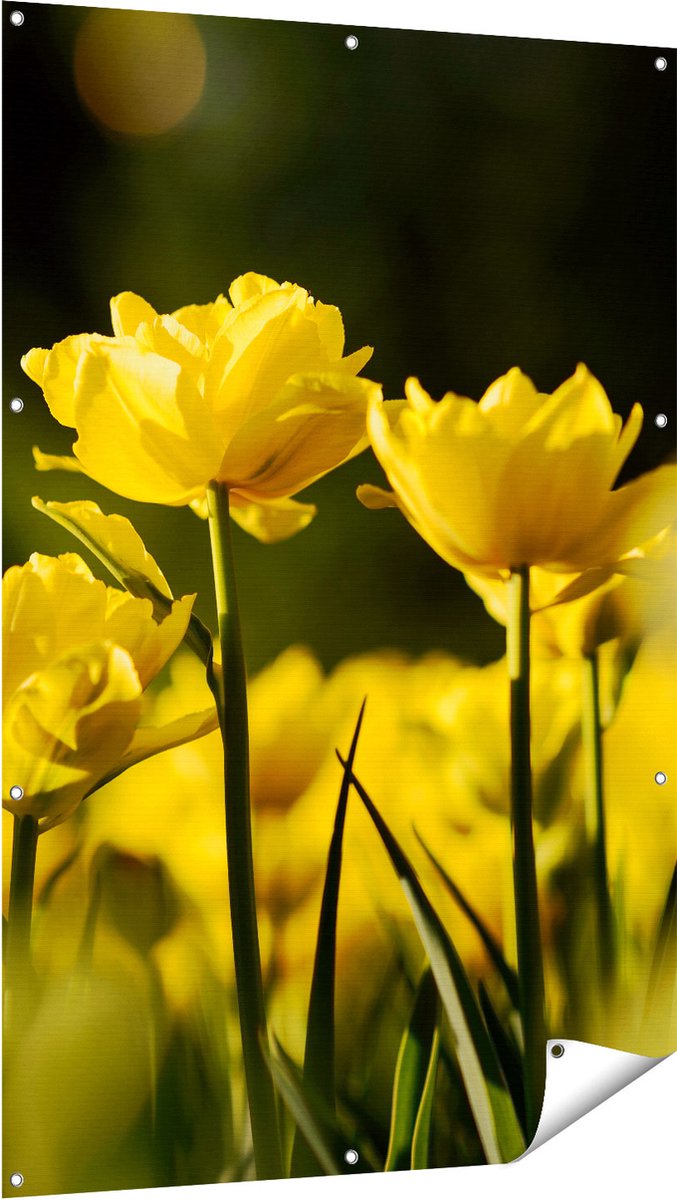 Gards Tuinposter Gele Tulpen - Bloemen - 100x150 cm - Tuindoek - Tuindecoratie - Wanddecoratie buiten - Tuinschilderij Multikleur