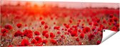 Gards Tuinposter Rode Klaprozen Bloemenveld Zonsondergang - 150x50 cm - Tuindoek - Tuindecoratie - Wanddecoratie buiten - Tuinschilderij
