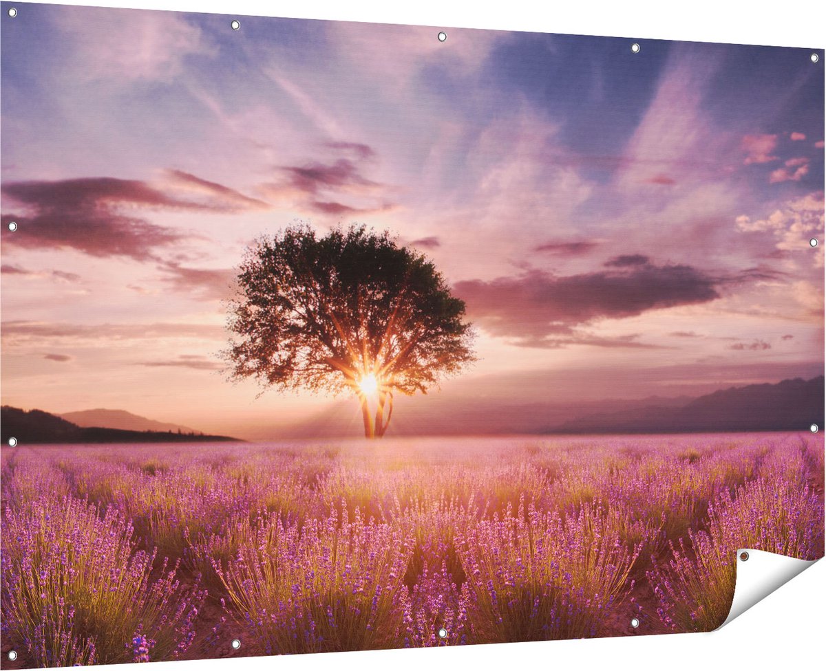 Gards Tuinposter Bloemenveld met Lavendel bij Zonsondergang - 180x120 cm - Tuindoek - Tuindecoratie - Wanddecoratie buiten - Tuinschilderij Multikleur